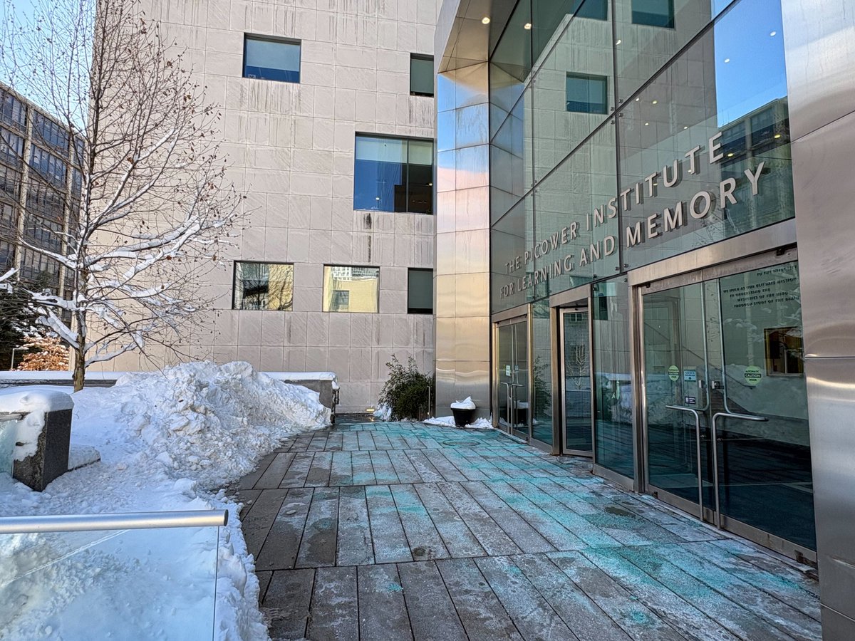 MIT Picower Institute tweet media