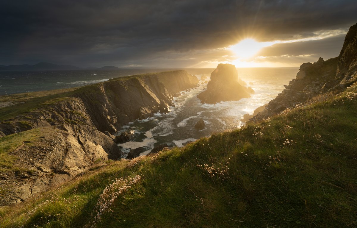 Nigel Danson tweet media