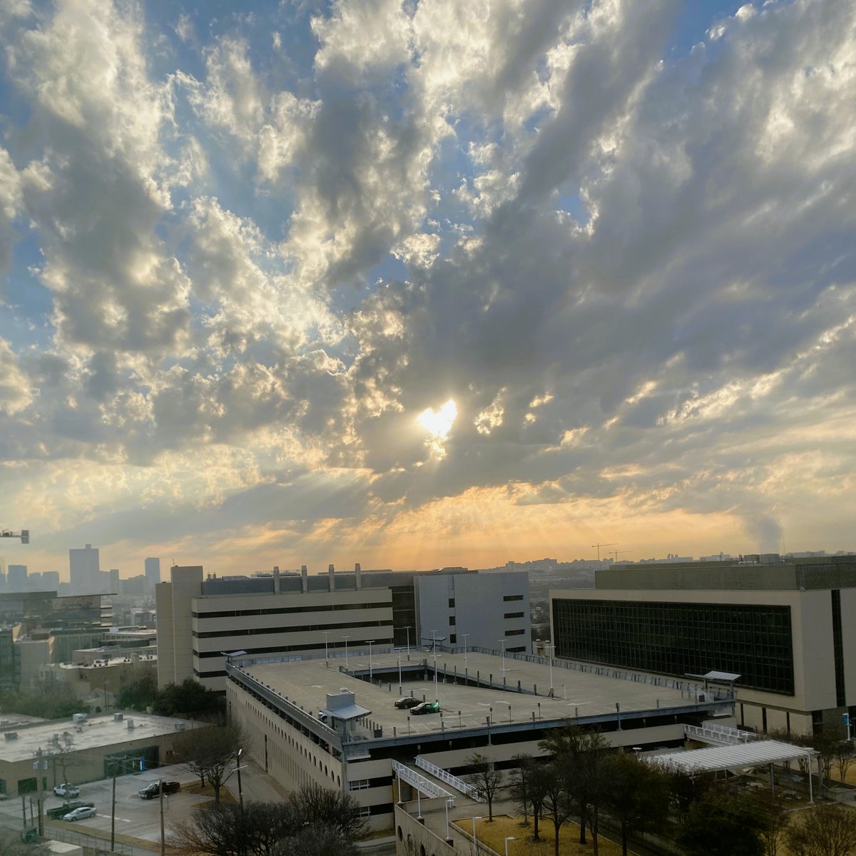 UNT Health Institute for Translational Research tweet media