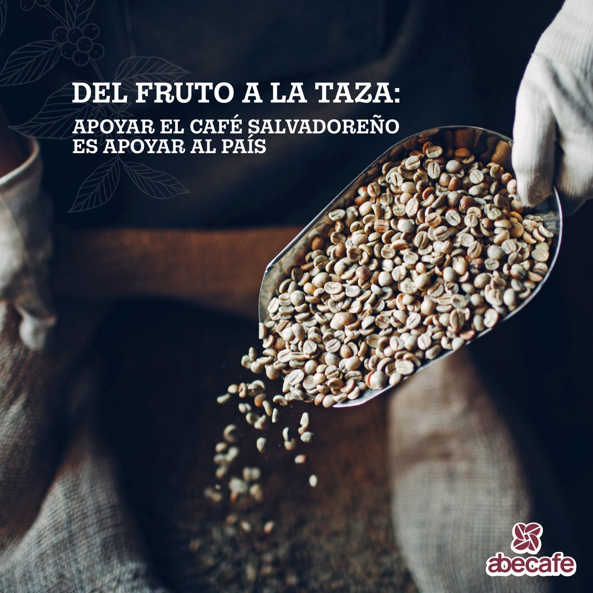 La calidad no es casualidad ✅✨
Se cuida desde el fruto, se respeta en el proceso y se confirma en cada selección. 🍒➡️☕
Por eso nuestro café sigue siendo grano de oro: por su historia, su trabajo y su excelencia.