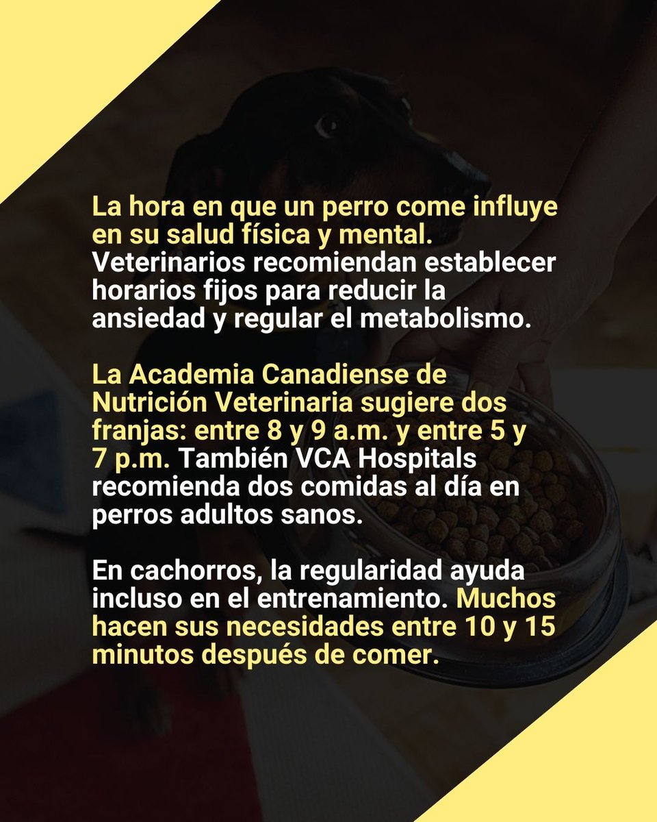 ADN Cali tweet media