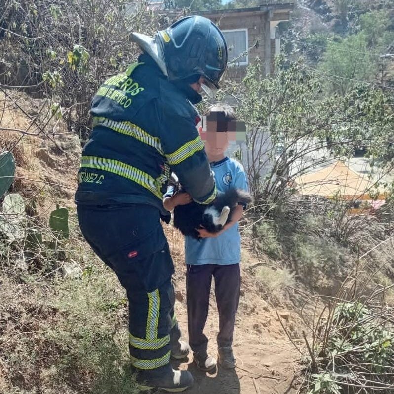 Acudimos a rescatar un gatito que se encontraba en un árbol, en calle Cda Niños Héroes, colonia Othenco, en <a href="/GobMilpaAlta/">Alcaldía Milpa Alta</a>, fue entregado ileso a su dueño. #ServicioConcluido
<a href="/JefeVulcanoCova/">Jefe Vulcano Cova</a>