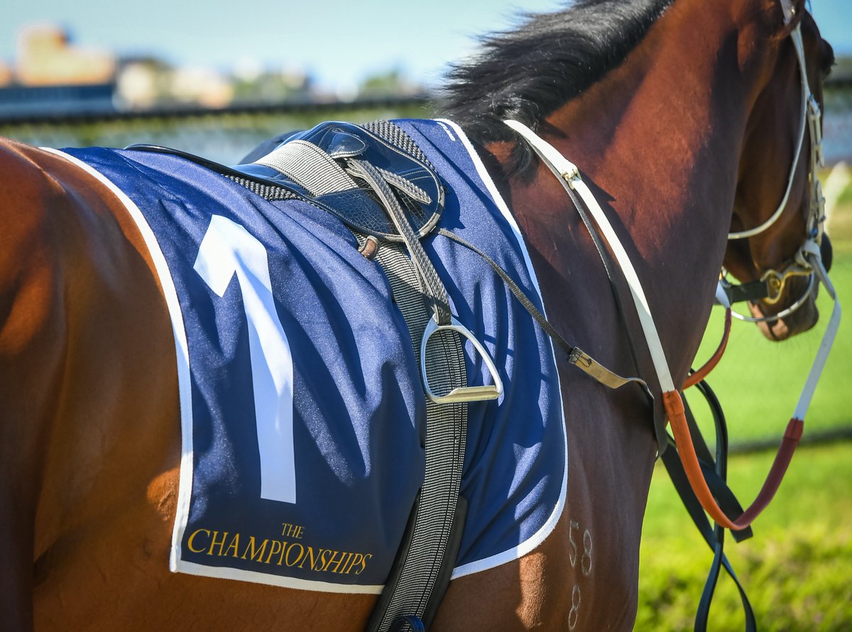 Newcastle Racecourse tweet media