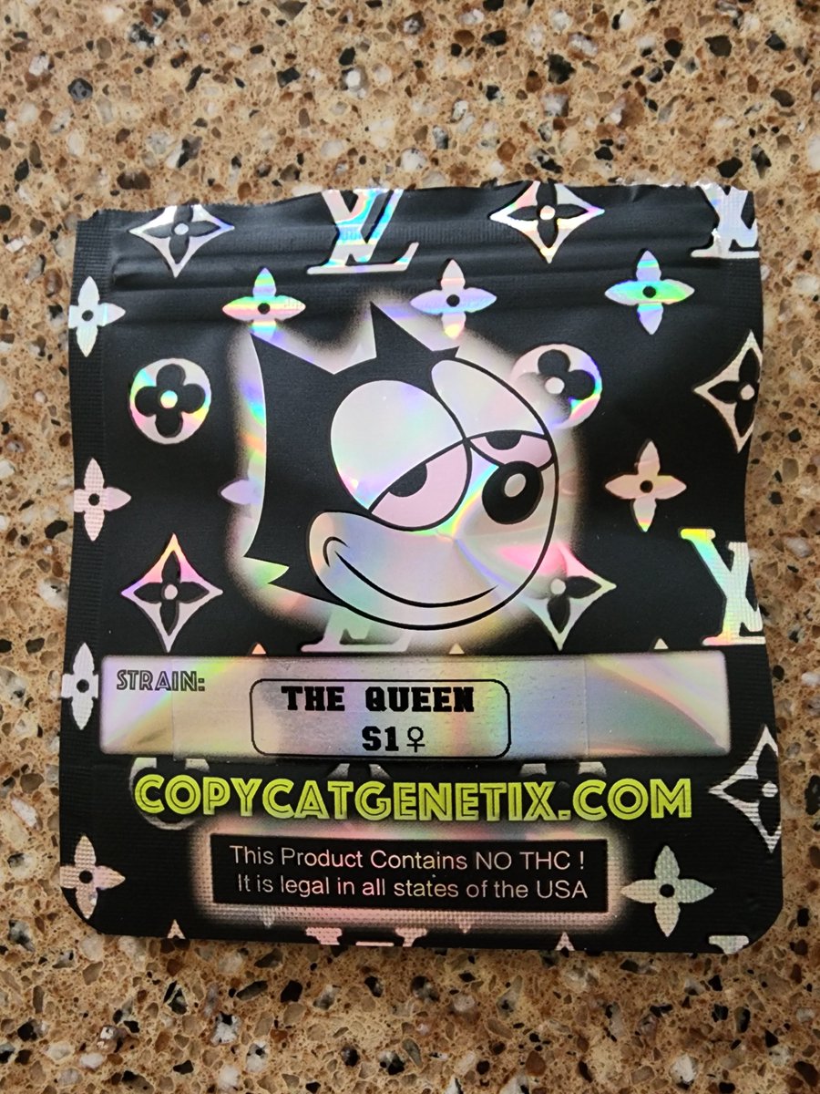 Robert Fox tweet media