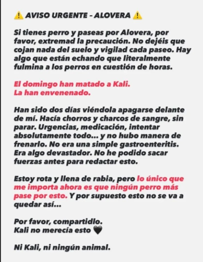 APAPAlcala's tweet photo. HAN ENVENENADO A KALI, UNA PERRITA ADOPTADA EN NUESTRA PROTECTORA 💔
Estamos realmente afectados por lo ocurrido, a KALI la han matado 
La familia está rota pero ha sacado fuerzas para enviarnos la ubicación por donde Kali fue envenenada para que no le pase a ningún perro más 🙏🏼 https://t.co/mc3Gh5TzB0