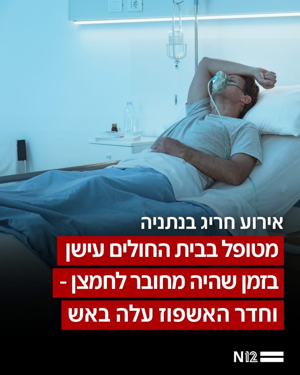 Noa 👾 tweet media