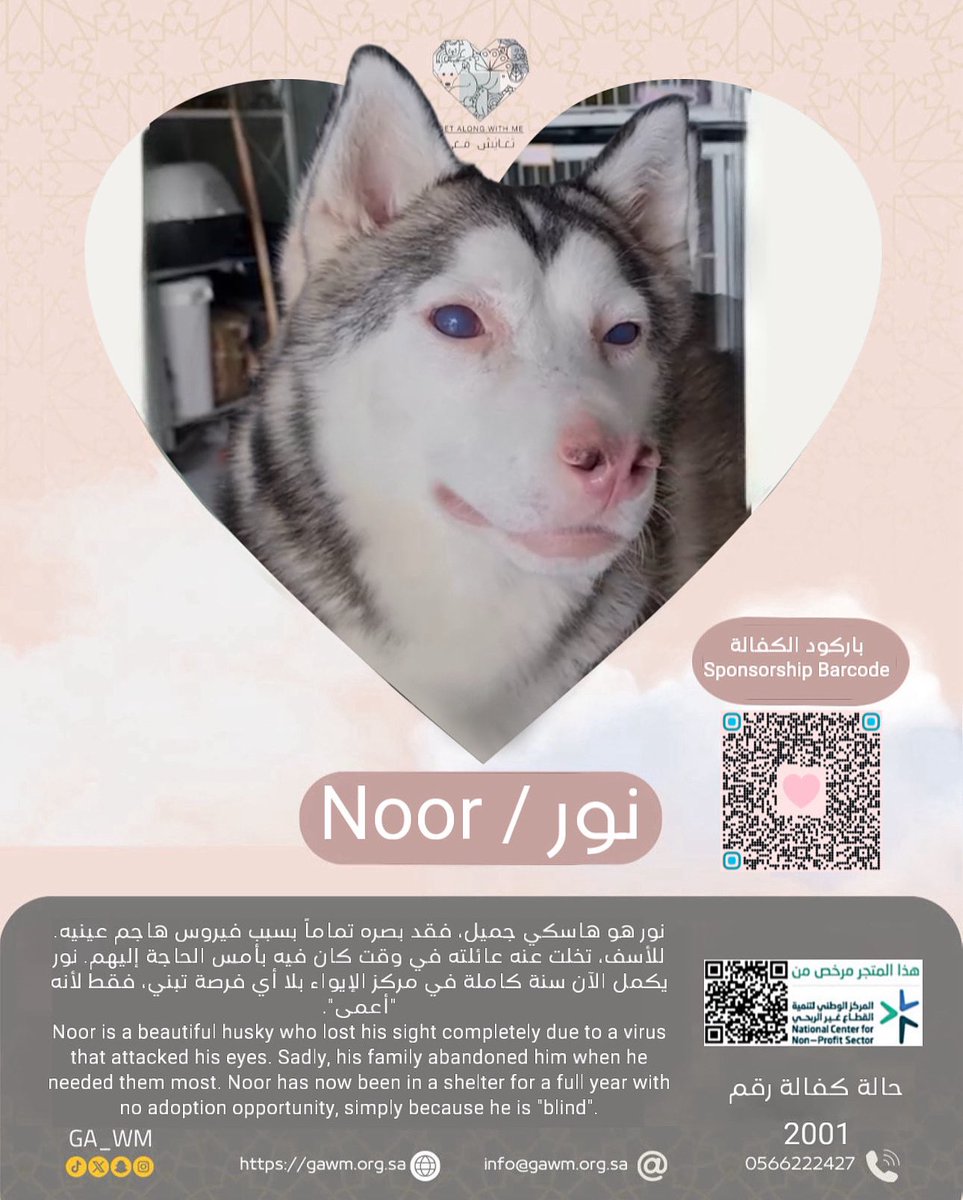 جمعية تعايش معي للرفق بالحيوان tweet media