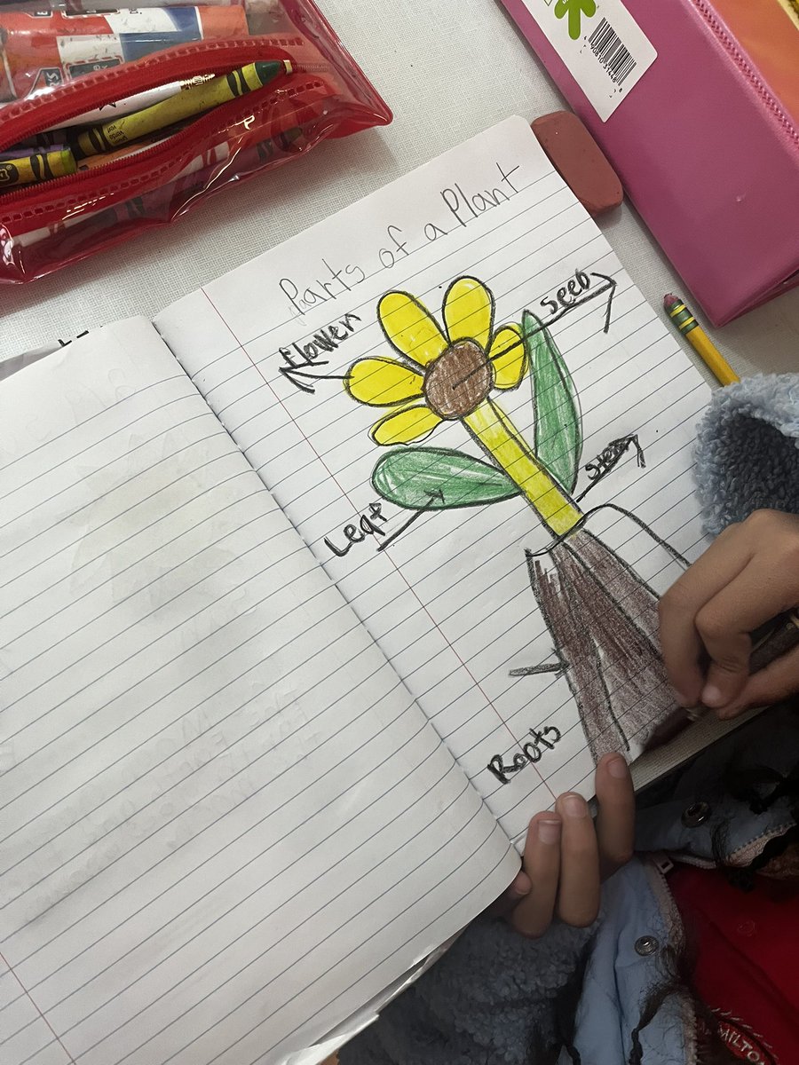 Shantel N. Patt tweet media