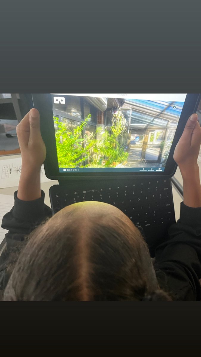 Shantel N. Patt tweet media