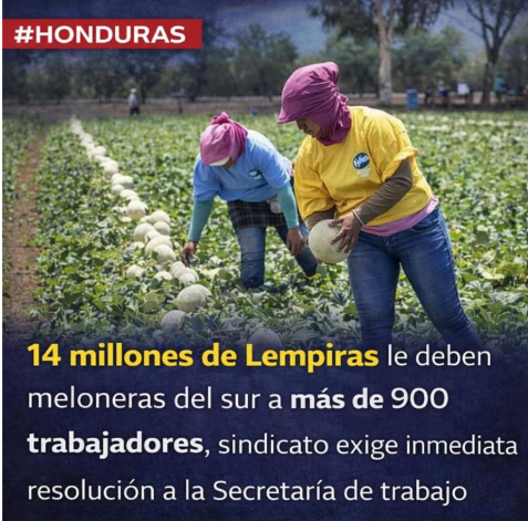 Festagro's tweet photo. El Sindicato de Trabajadores de la Agroindustria y Similares (STAS), acompañado por otras organizaciones de la zona sur, dio a conocer los hallazgos detectados en el proceso de inspección de la SETRASS https://t.co/x0nIwYQRci