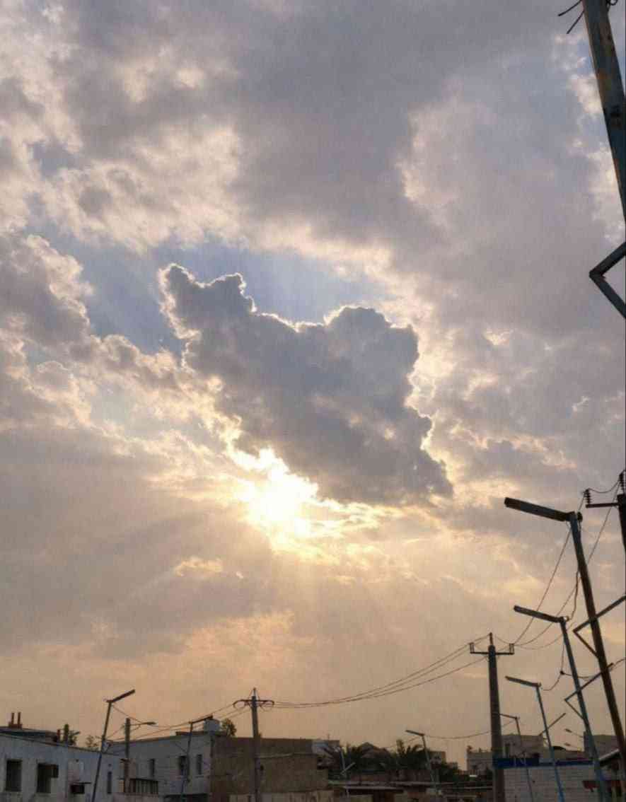 مَحبوبِه tweet media