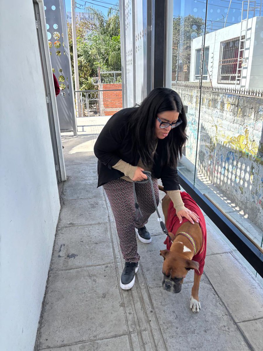 Gracias al gran ser humano que es <a href="/silvia_tanus/">Silvia Tanús</a> , Don chato ha sido adoptado por <a href="/MTGobPue/">Secretaría de Movilidad y Transporte</a> , ahora será más amado y protegido. Gracias mi <a href="/CynChavezR/">Cynthia Chavez R</a> y <a href="/MonseNavedo/">Monse Navedo</a> por hacerlo posible y a todos los que ayudaron en este caso <a href="/arish23/">Pilar Pineda</a> 

Cc <a href="/LaishaWilkins/">👑Lai Reina de Dinamarca</a>