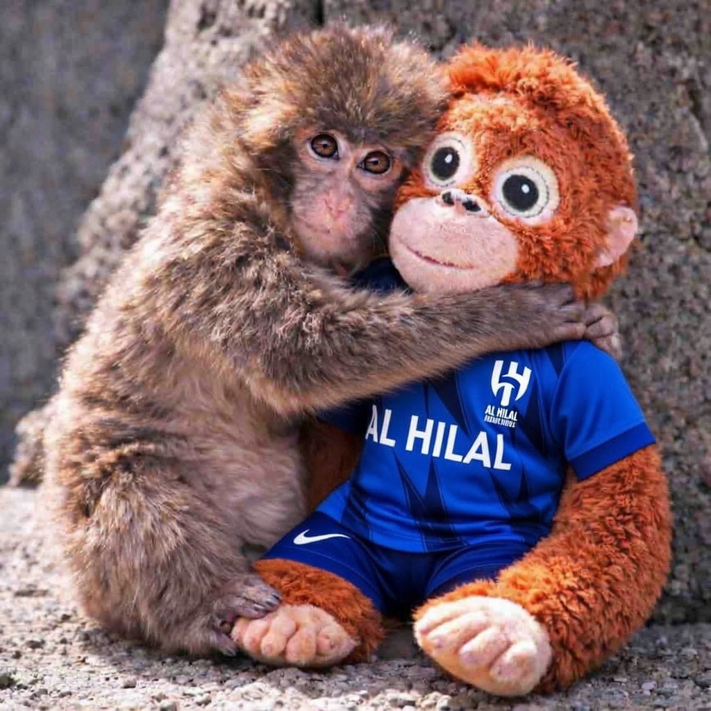 𝙷𝚊𝚛𝚛𝚒𝚜𝚘𝚗 (@fcbharrison) on Twitter photo 