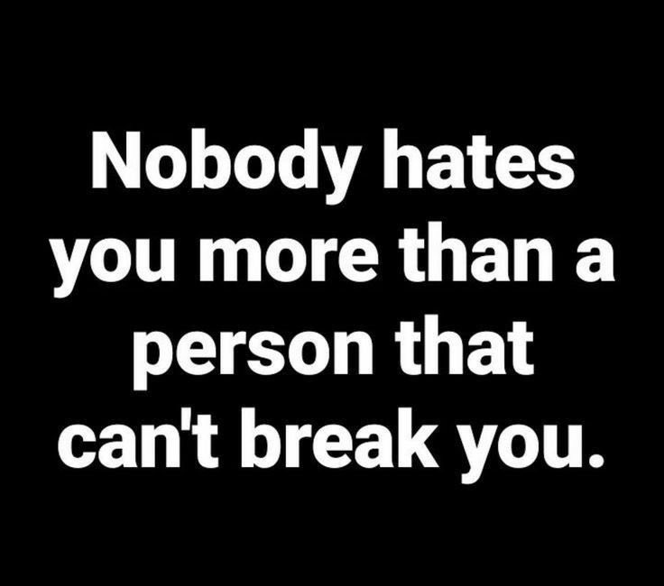 Rebel ❤️‍🔥 tweet media