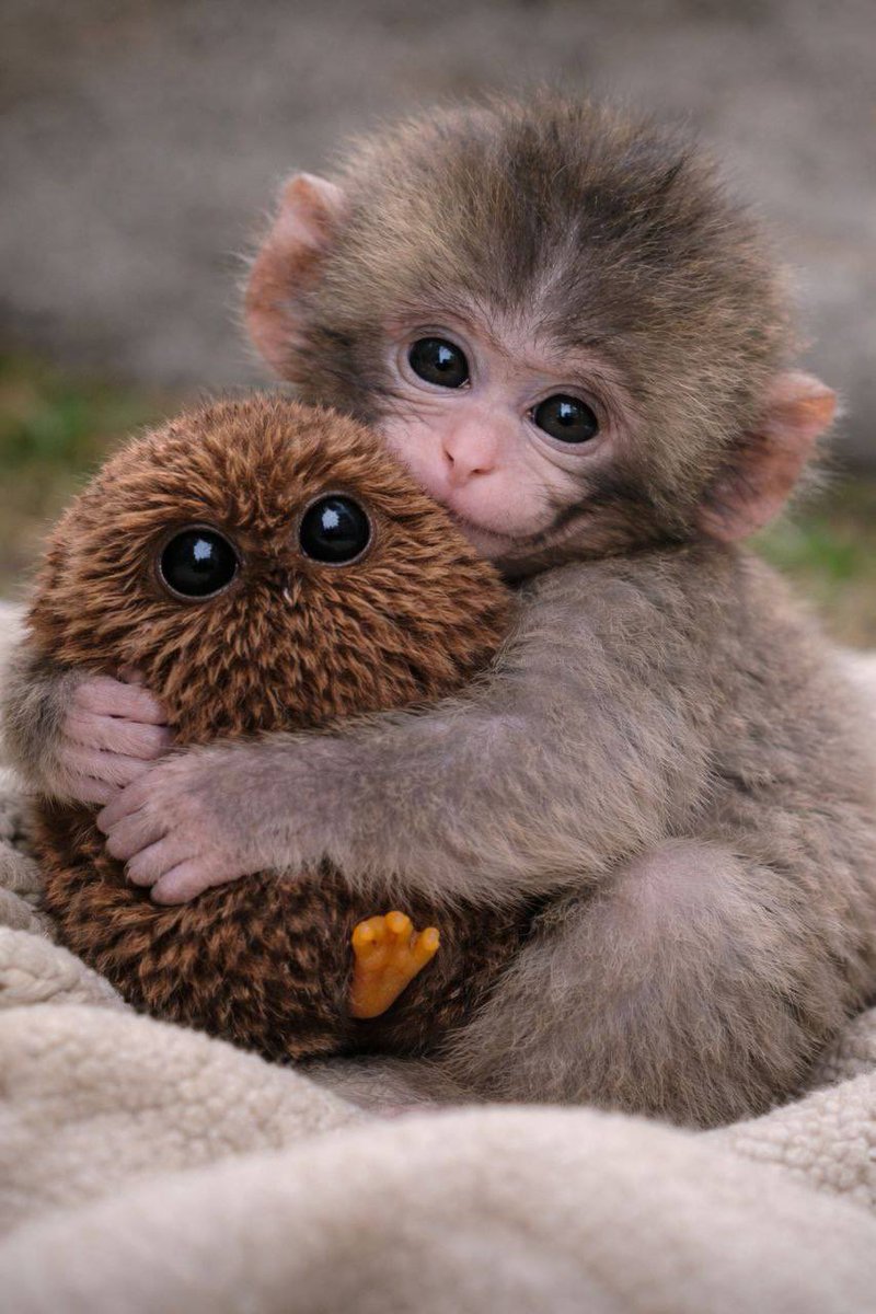 <a href="/SpeedWgmi/">SPEED</a> Im here 🥰💎