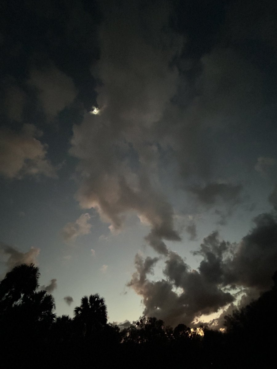 Reverie in Ruins (@sighandsubmit) on Twitter photo 