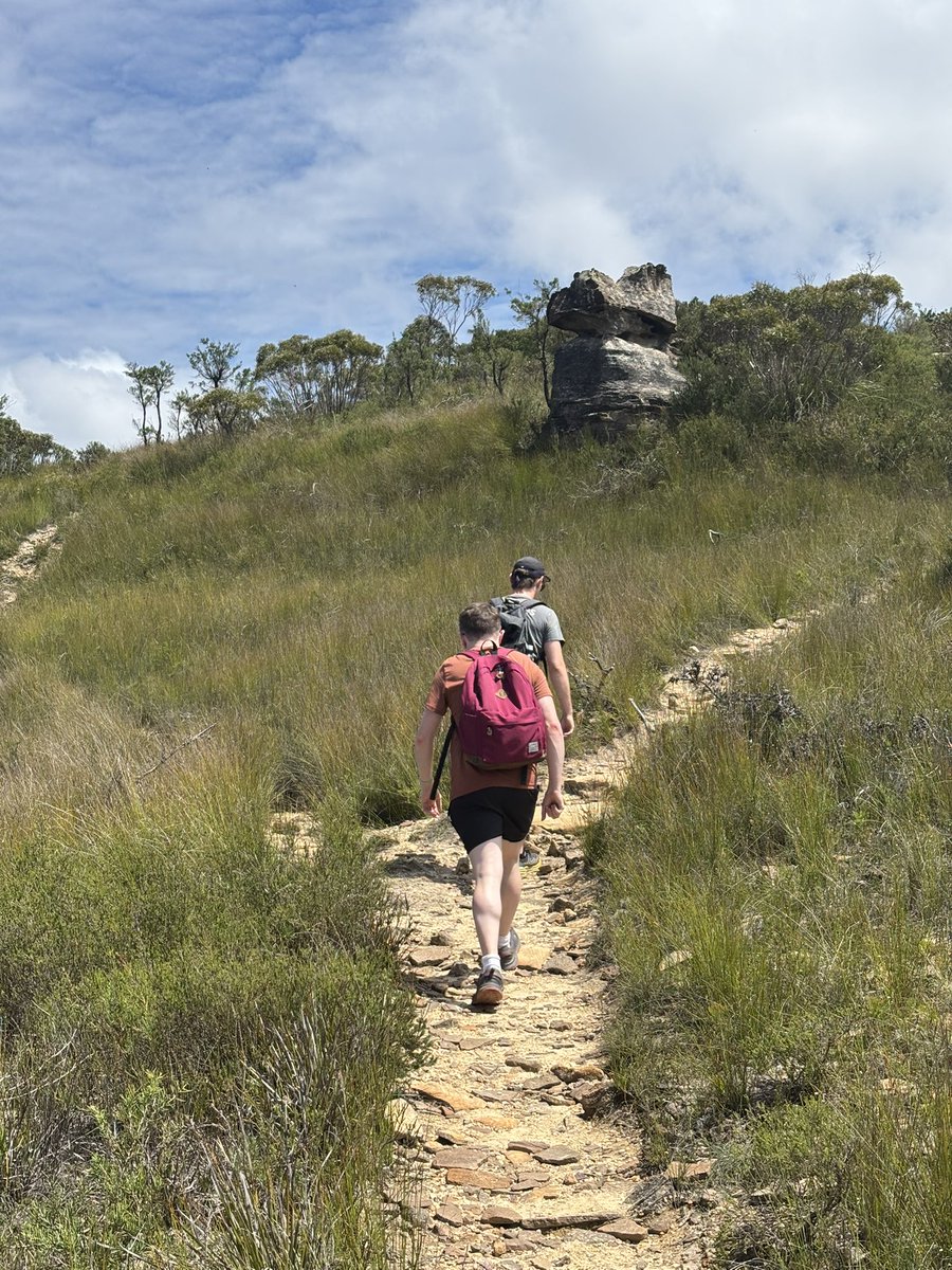 Matty Hayward tweet media