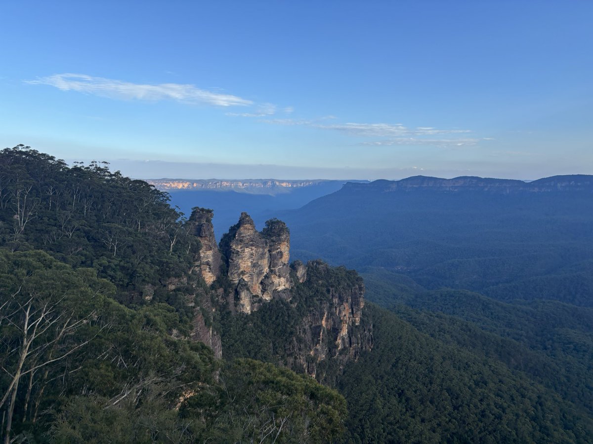 Matty Hayward tweet media