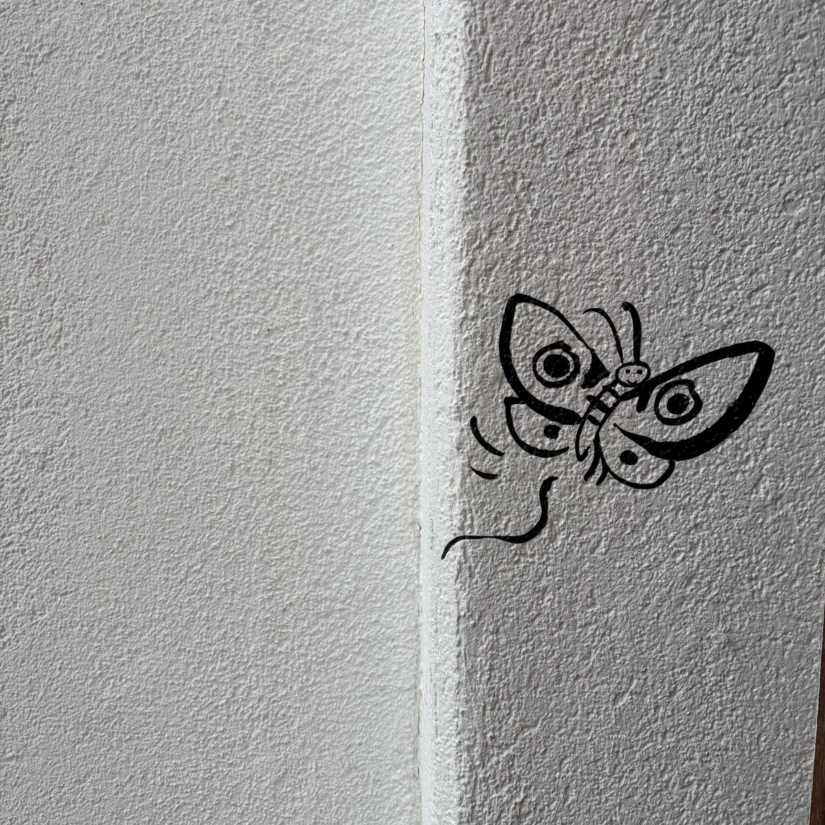 CarmedeMilmanda's tweet photo. dásenos
por suposto
podermos voar,
pero como esquecer
que as nosas ás
son só pintadas? https://t.co/qQj9IZfPQ1
