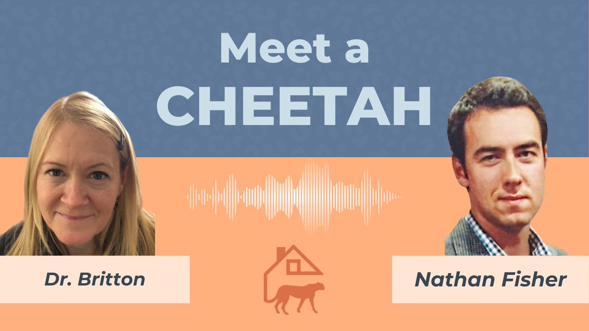 Cheetah House tweet media