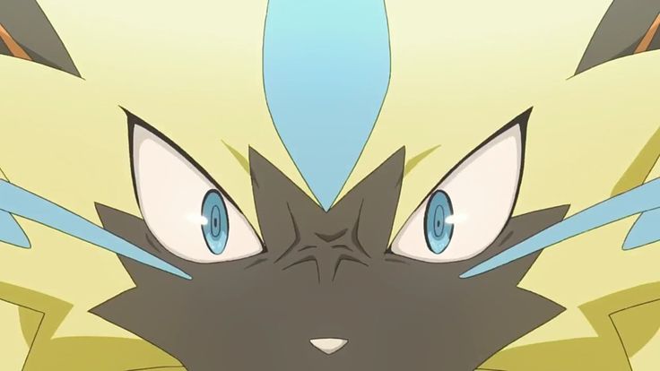 Daily Zeraora tweet media