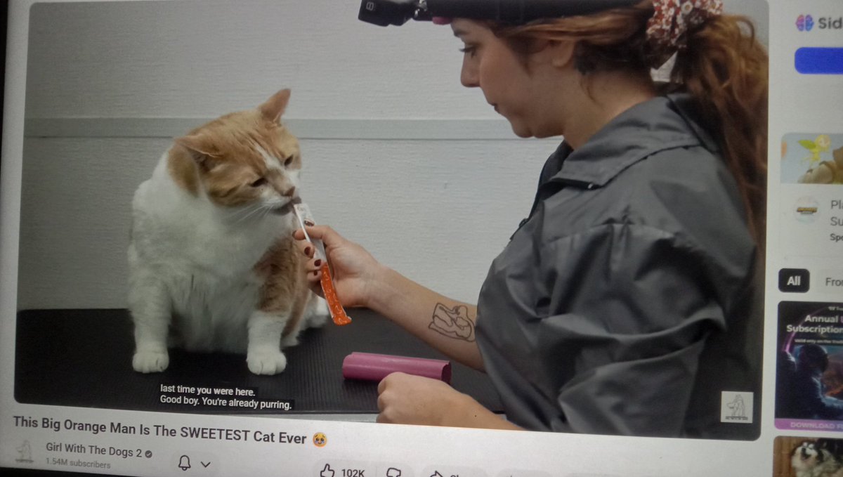 Another day another kucing gembroooottt