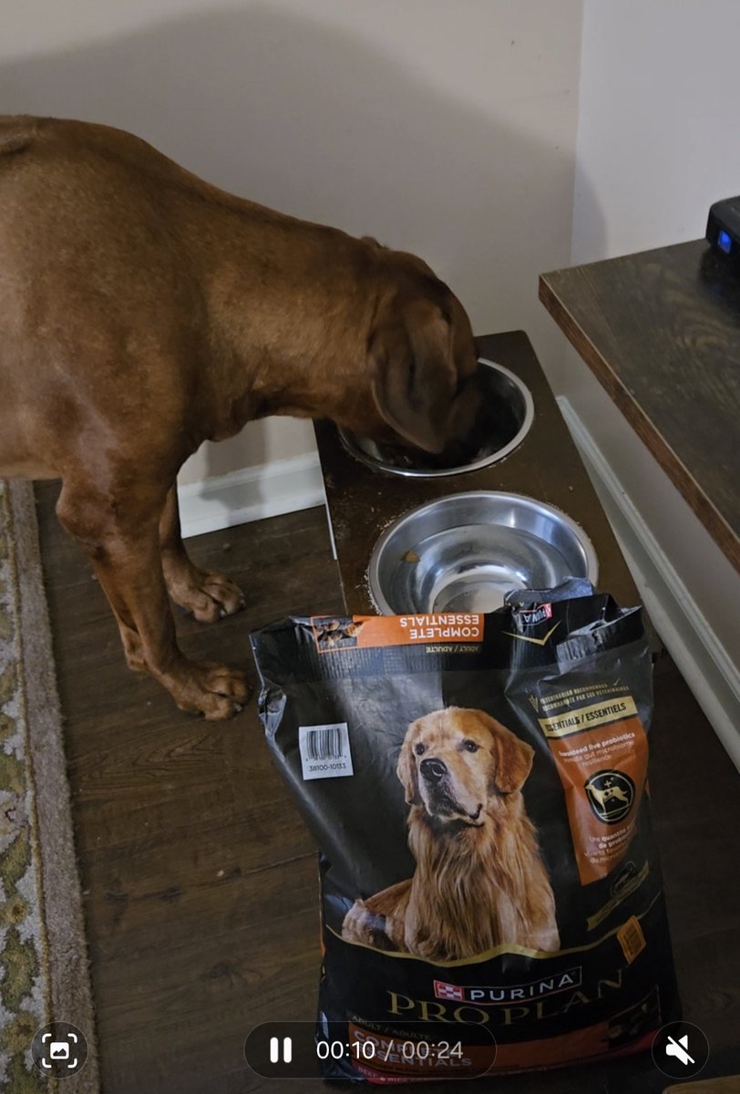 Deborah Johnson tweet media