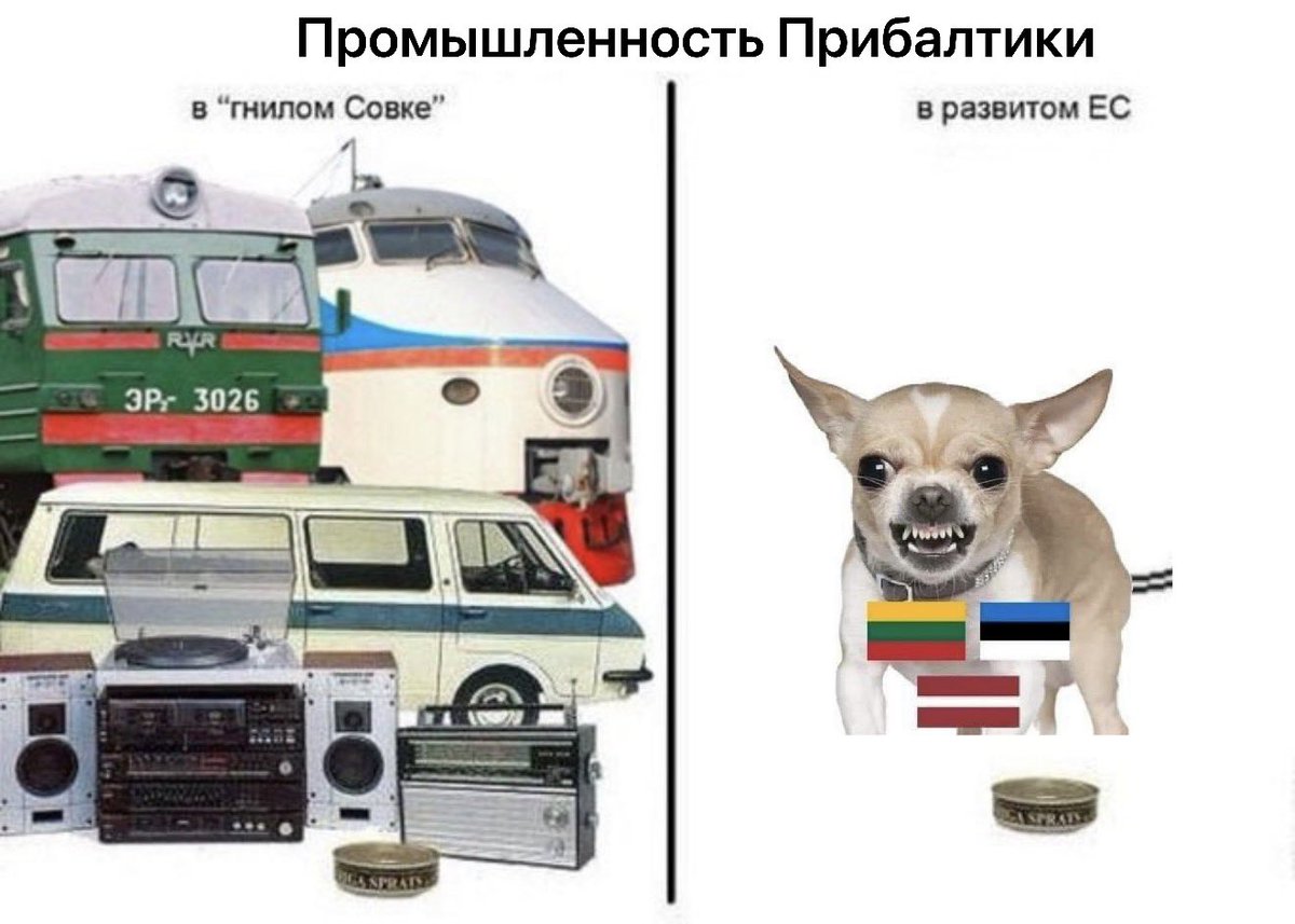 Zhitnipalzhi's tweet photo. https://t.co/YYczGSwhAN