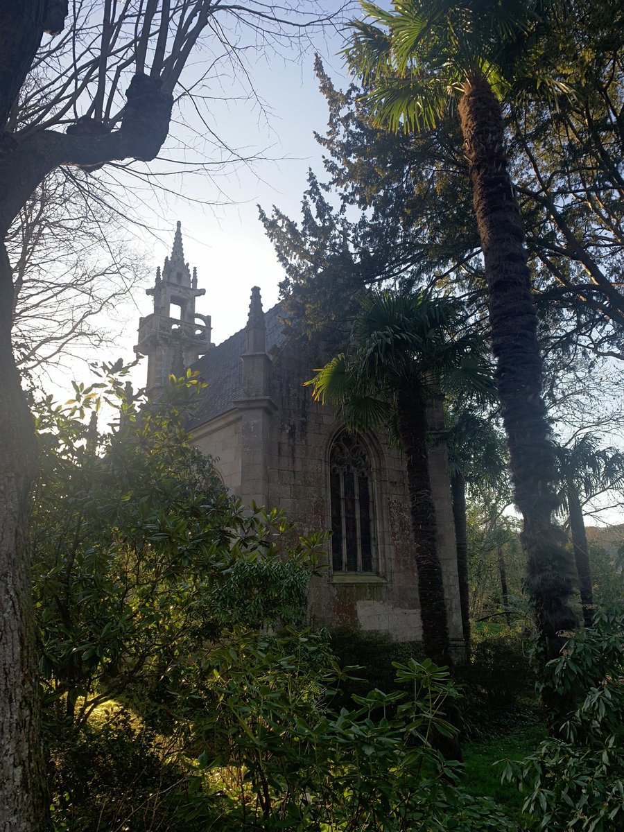 ✮ ⋆ ˚｡𖦹 ⋆°°✩ ✮ ⋆ ˚｡𖦹 ⋆°°✩ ✮ ⋆ ˚｡𖦹 ⋆°°✩