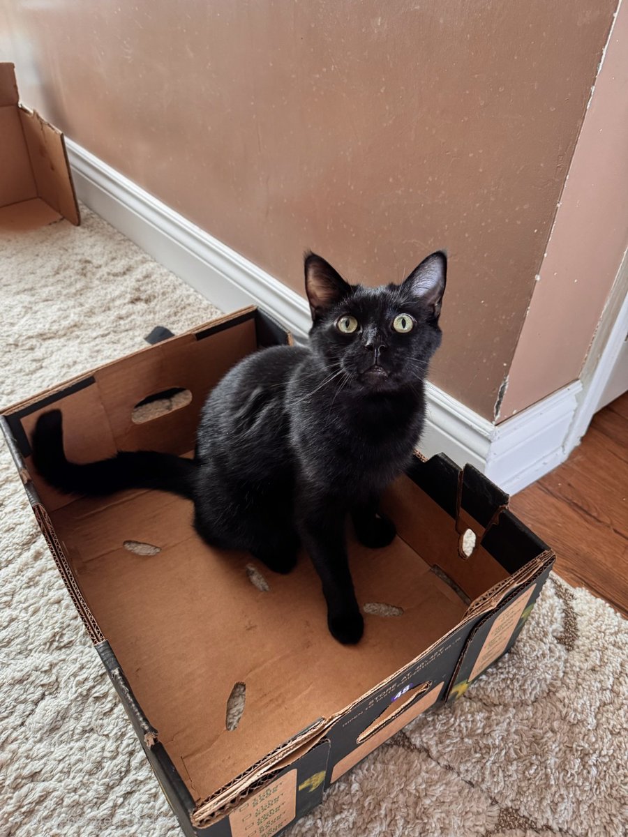 annserh's tweet photo. @EmilySm43 Mine is named Taika https://t.co/hZWpArgGws