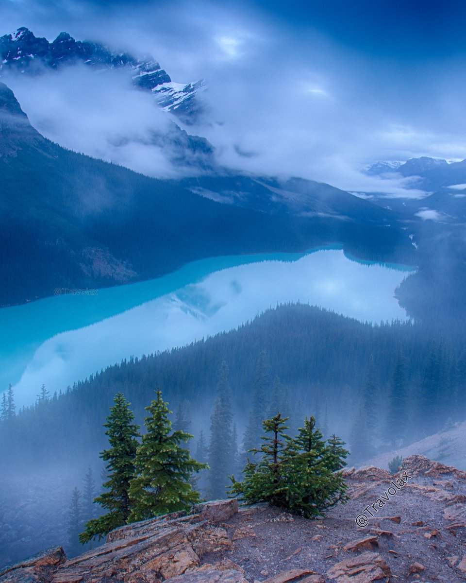 Travolax | Always Traveling tweet media