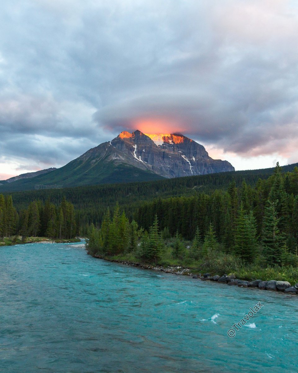 Travolax | Always Traveling tweet media