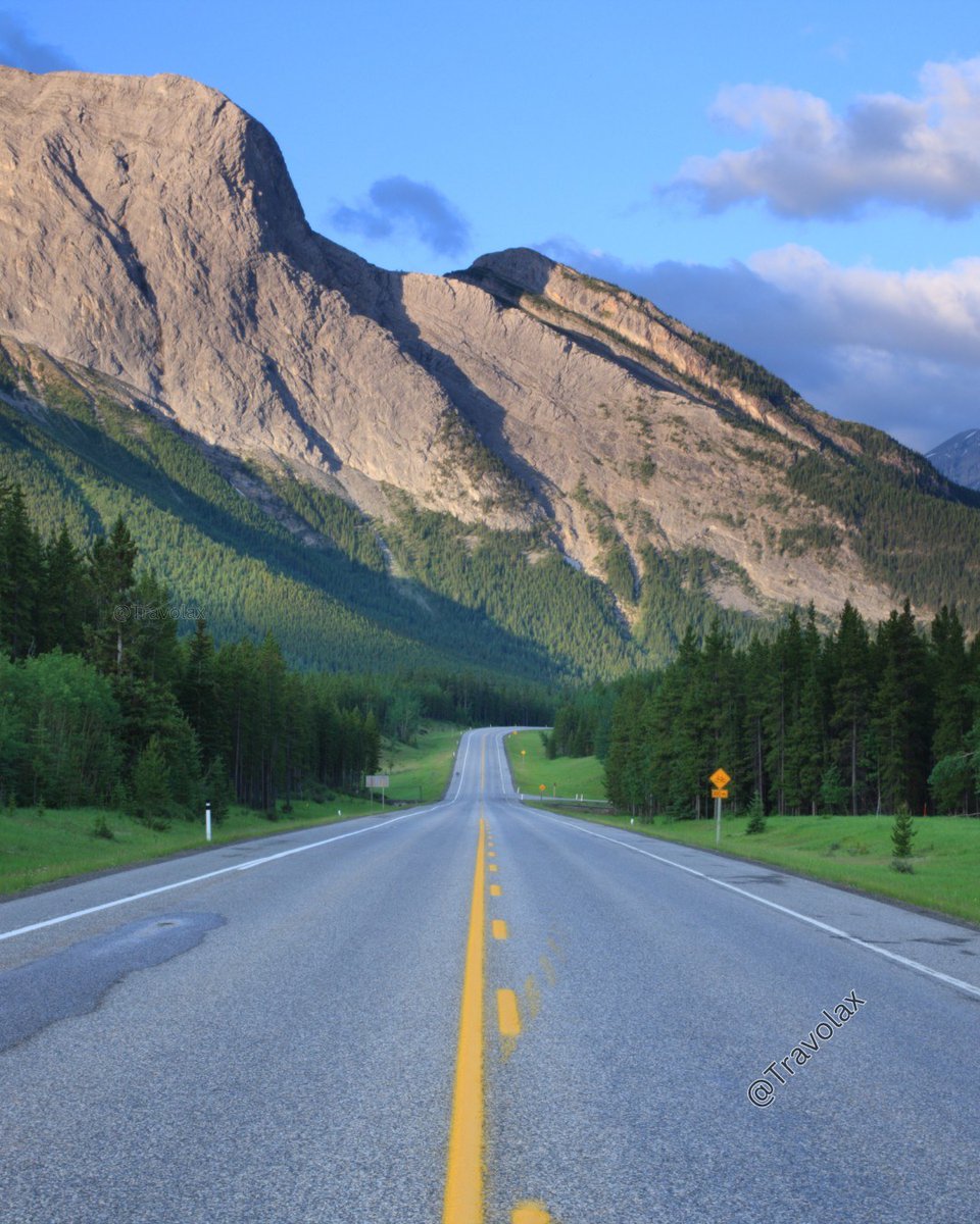 Travolax | Always Traveling tweet media