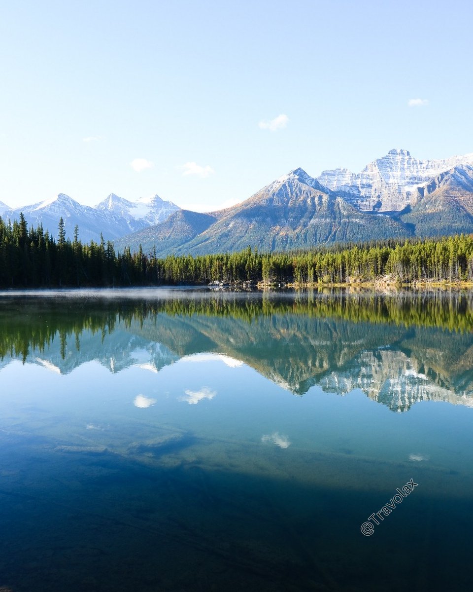 Travolax | Always Traveling tweet media