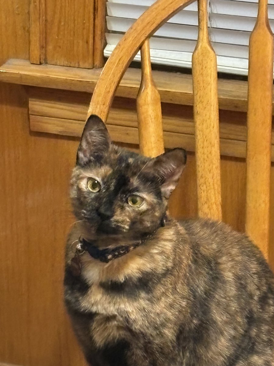 kati ♡ tweet media