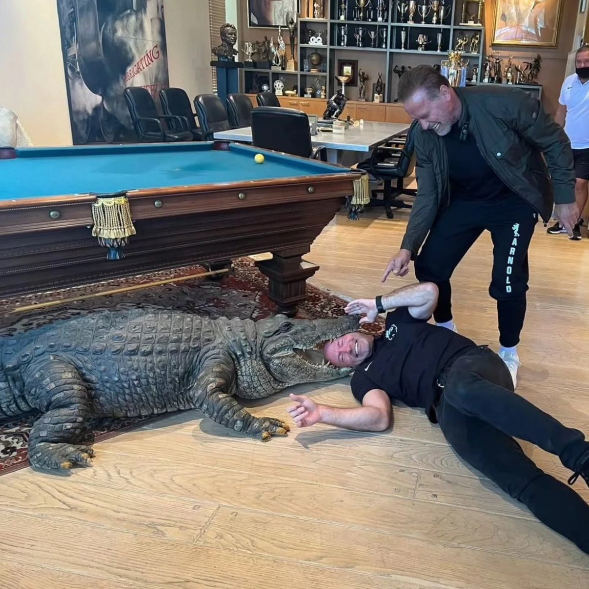 Football Away Days Club tweet media