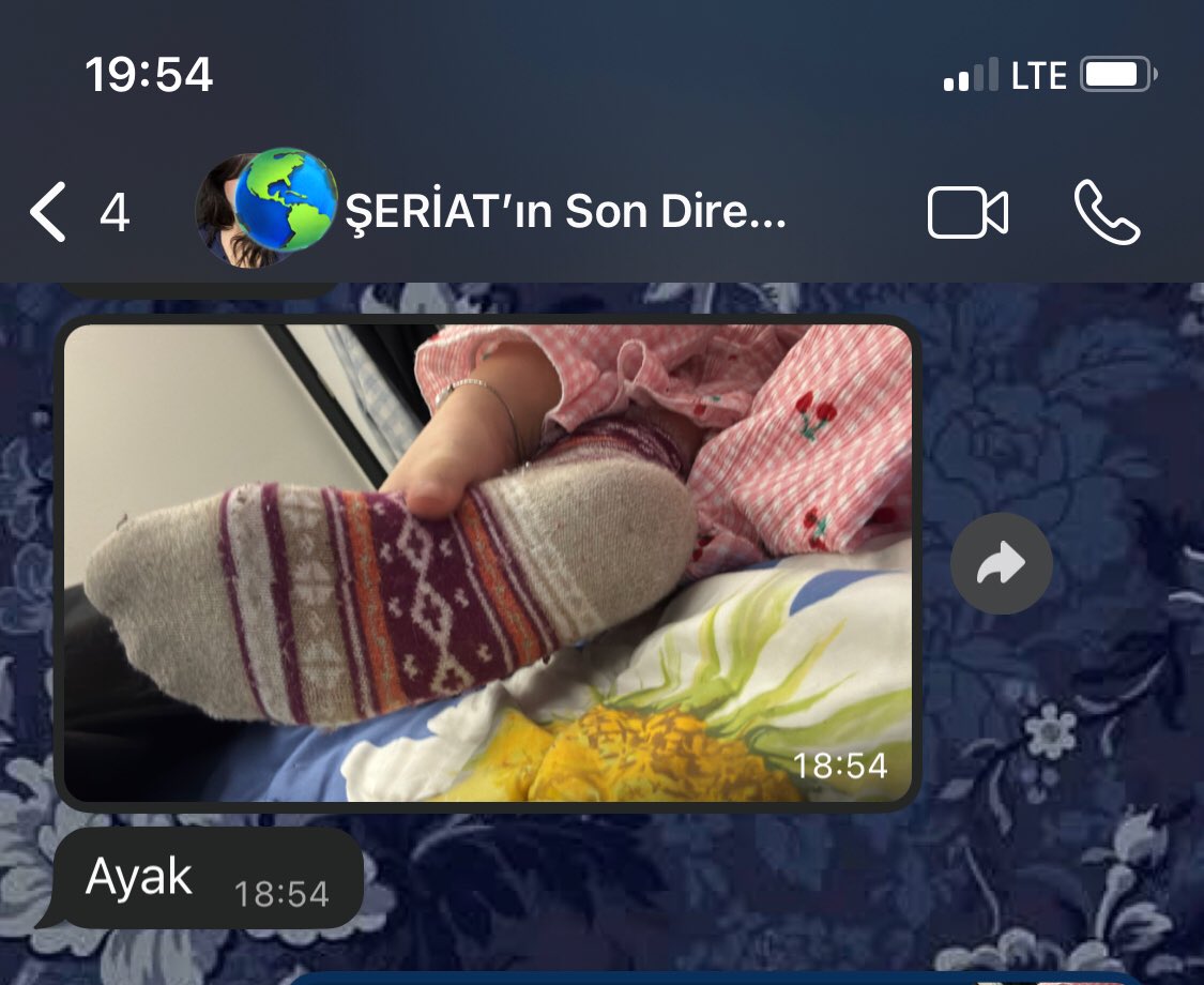 Firdevs Yöreoğlu 🇹🇷 tweet media