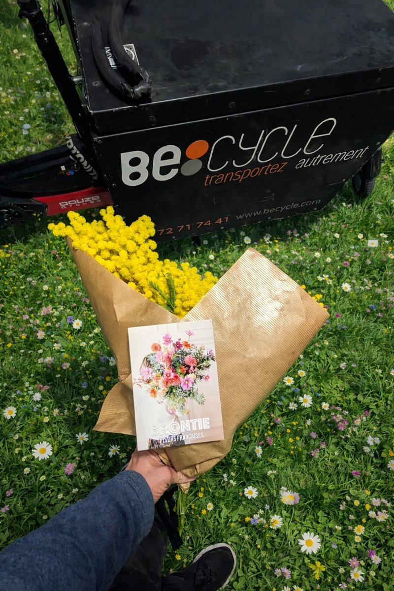 Littlecelt tweet media