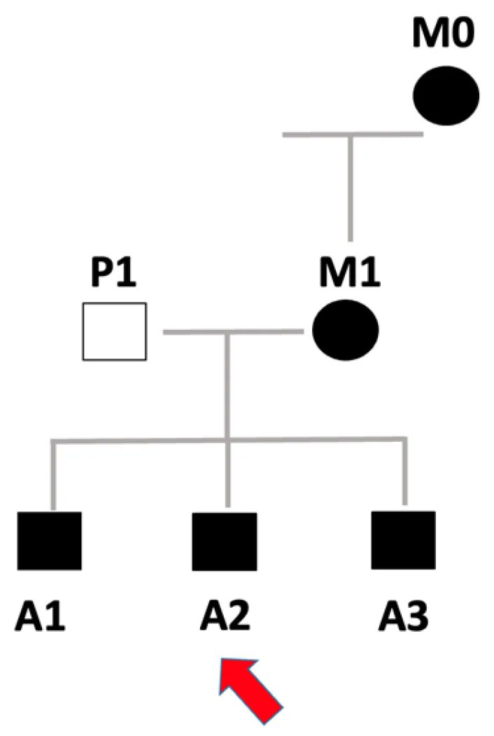 Cardiogenetics MDPI tweet media