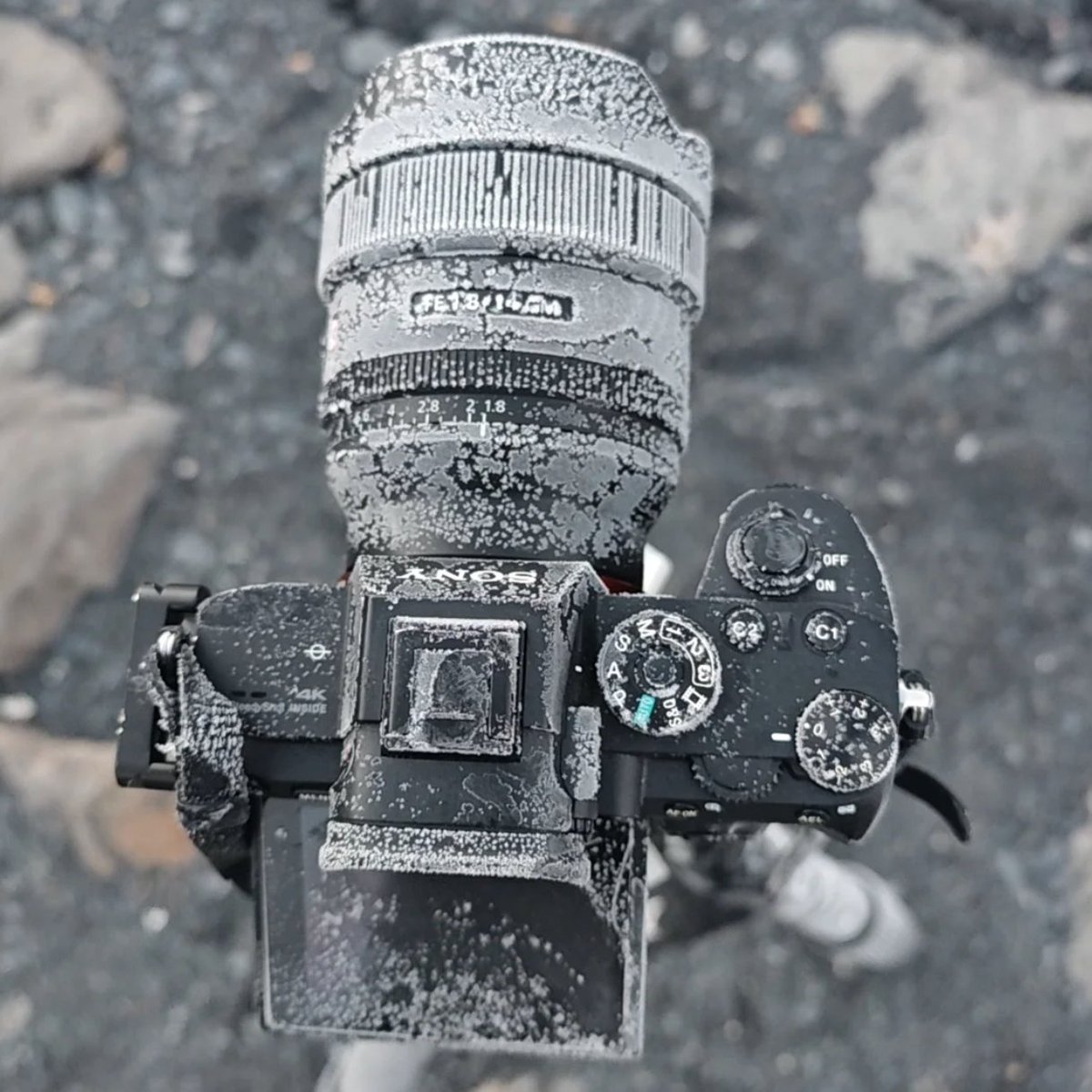 これがPENTAXだと誰も驚かなさそう笑