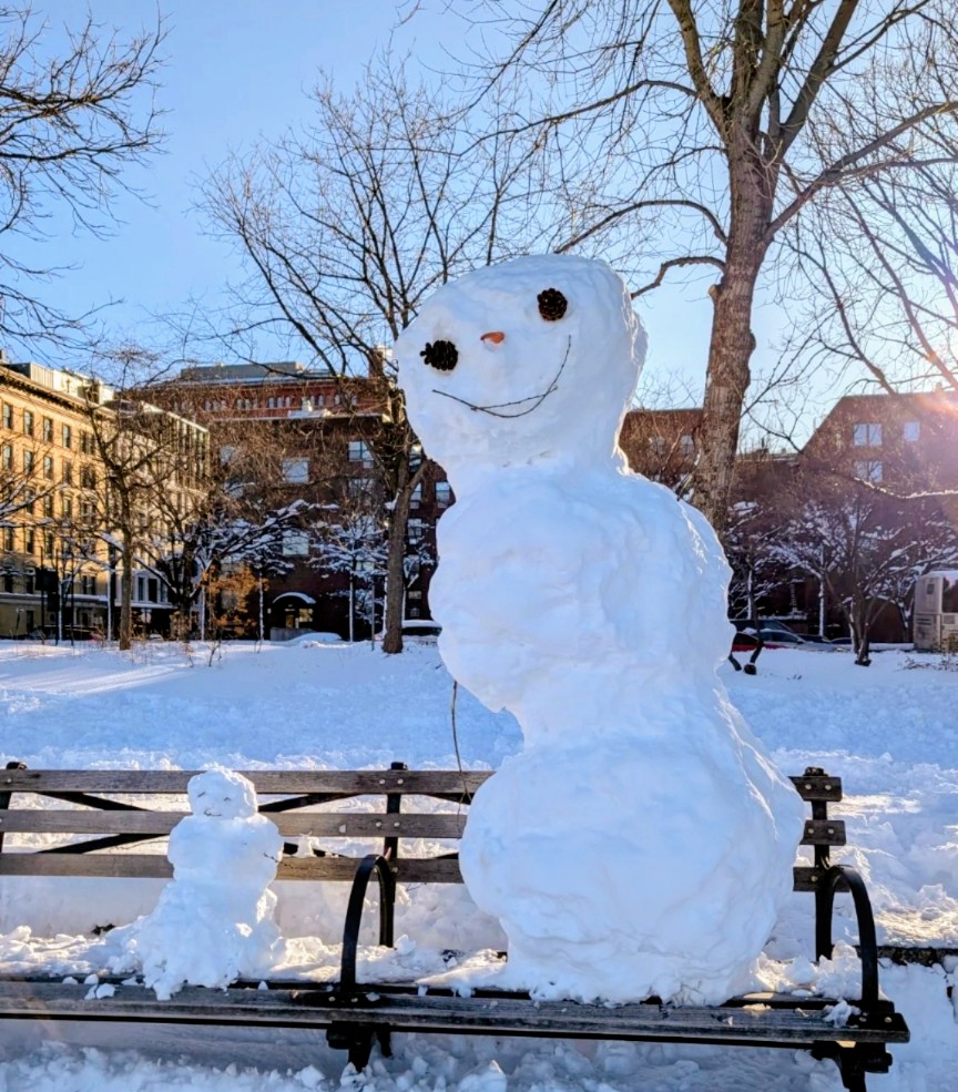 Don't let the sunlight fool you! It's still -6C/ 22F #NYC #Blizzard2026