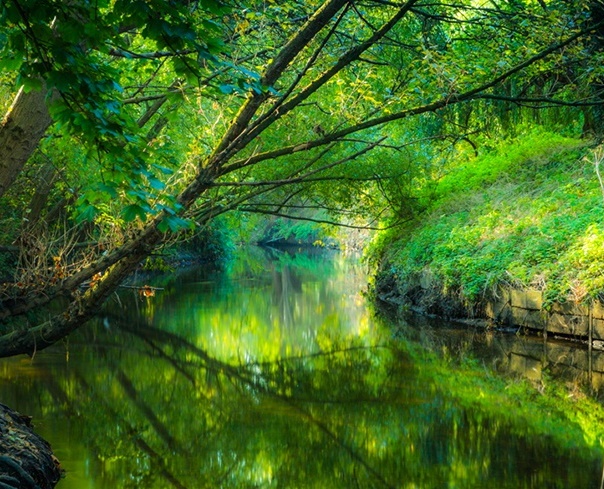 EcoLocal tweet media