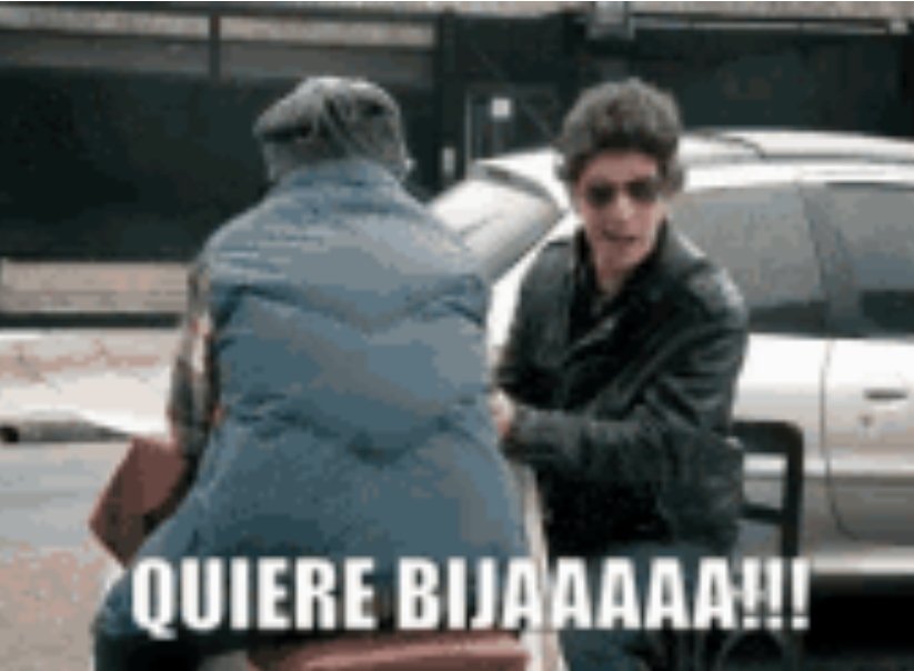 Mi opinión sobre los therians: