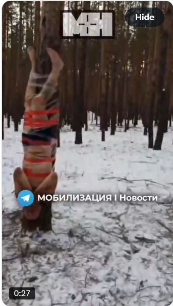 Katarzyna Chawryło tweet media