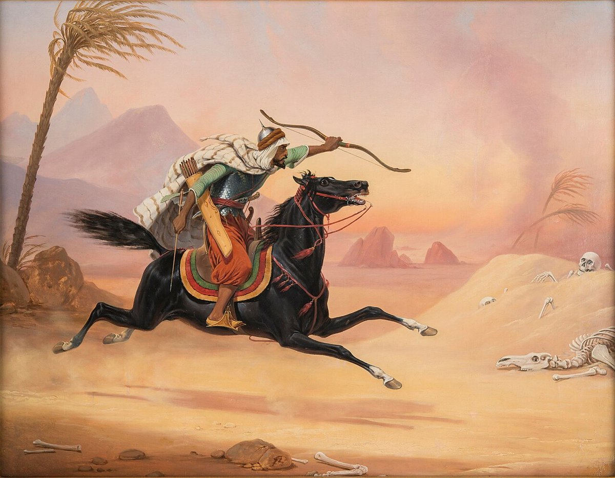 مصطفى tweet media