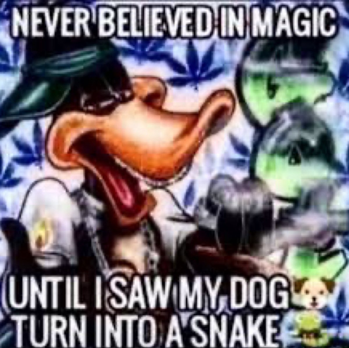 Alex Insdorf (@alexinsdorf99) on Twitter photo 