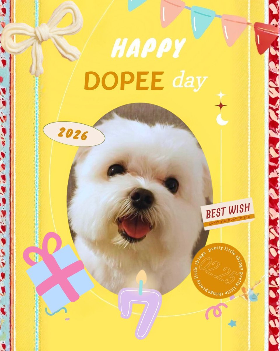 chanceguno_fc's tweet photo. HAPPY BIRTHDAY to Dopee🎂(Chance's son)
@Chance73160918
#chance
#成晞
#Dopee https://t.co/yG3lxywCo9