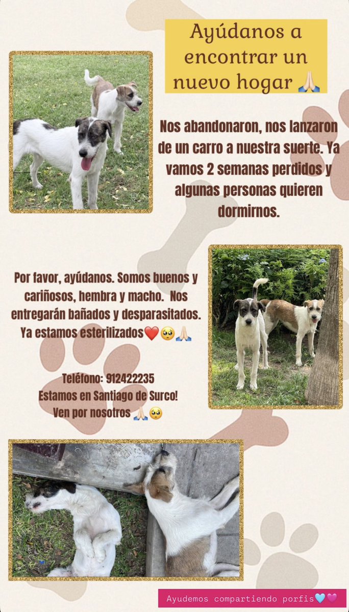 Samantha tweet media