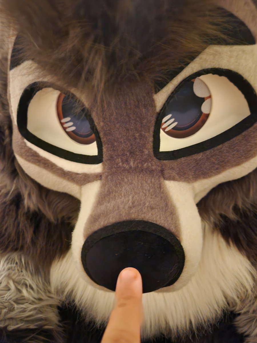 Legoshi Takanashi 🐾🏳️‍🌈 🔜 NFC tweet media