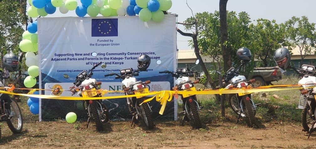 National Forestry Authority-Uganda tweet media